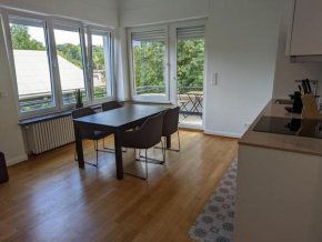 Refurbished 1BR Apartment in Limpertsberg